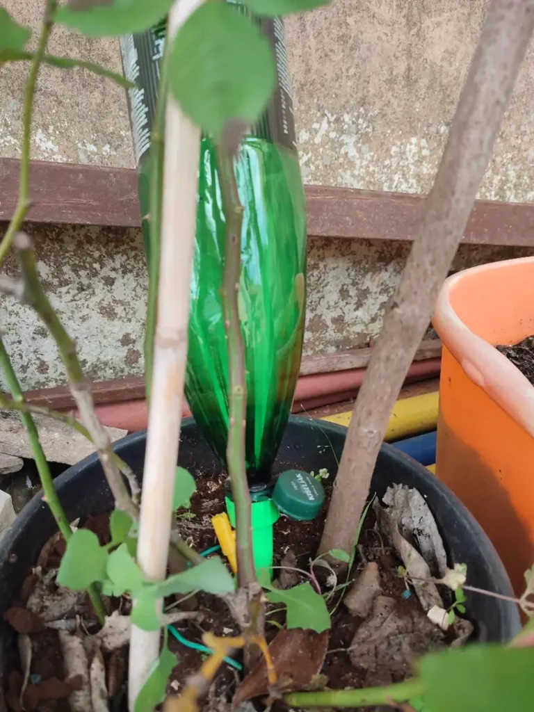 12-dijelni set automatskog zaljevača za biljke photo review