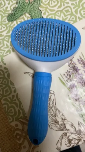 Četka za dlaku na KLIK photo review