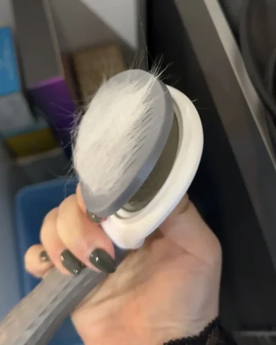 Četka za dlaku na KLIK photo review