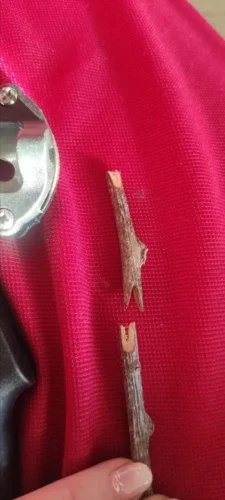 Škare za cijepljenje i obrezivanje drveća | HyperCut 2.0 photo review