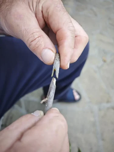 Škare za cijepljenje i obrezivanje drveća | HyperCut 2.0 photo review